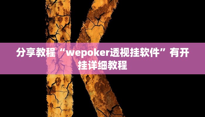 分享教程“wepoker透视挂软件”有开挂详细教程