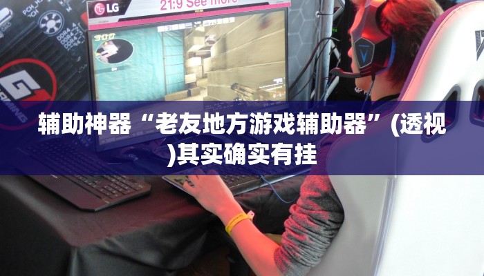 辅助神器“老友地方游戏辅助器”(透视)其实确实有挂