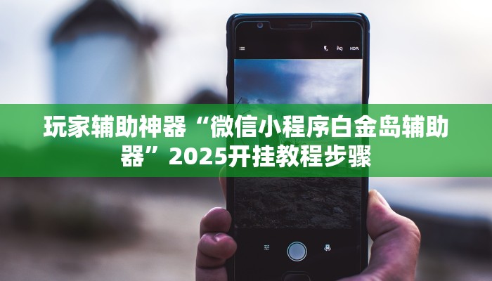 玩家辅助神器“微信小程序白金岛辅助器”2025开挂教程步骤