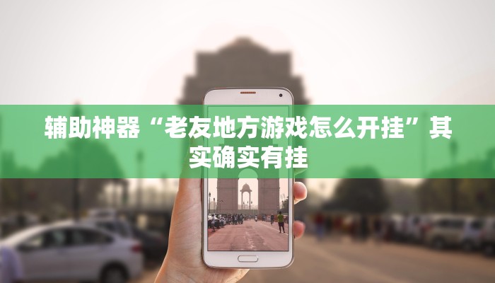 辅助神器“老友地方游戏怎么开挂”其实确实有挂