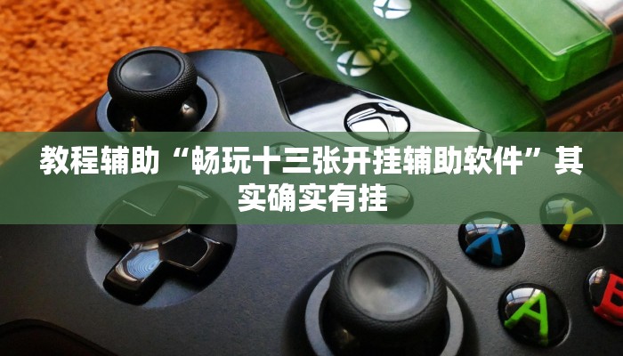 教程辅助“畅玩十三张开挂辅助软件”其实确实有挂