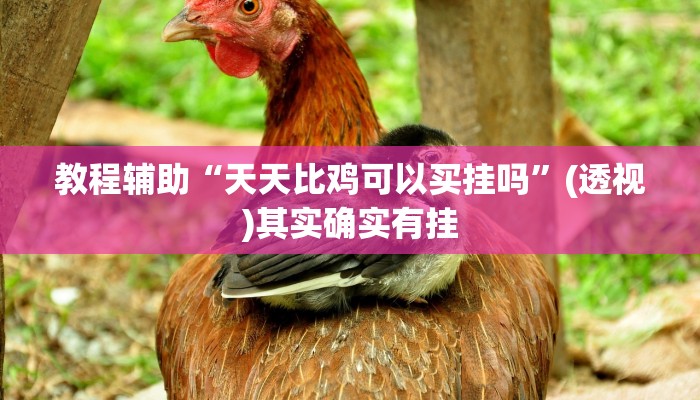 教程辅助“天天比鸡可以买挂吗”(透视)其实确实有挂