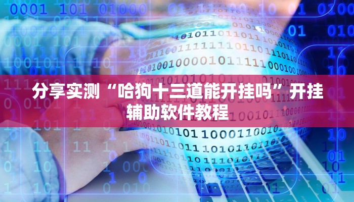 分享实测“哈狗十三道能开挂吗”开挂辅助软件教程