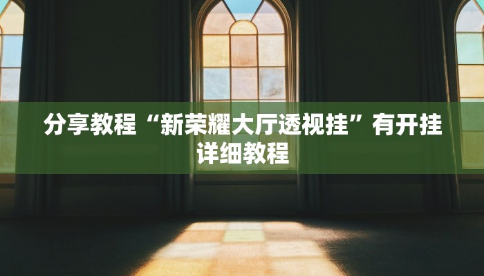 分享教程“新荣耀大厅透视挂”有开挂详细教程