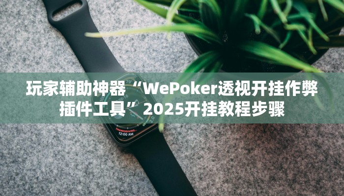 玩家辅助神器“WePoker透视开挂作弊插件工具”2025开挂教程步骤