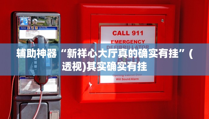 辅助神器“新祥心大厅真的确实有挂”(透视)其实确实有挂