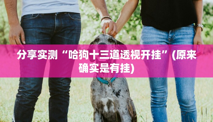 分享实测“哈狗十三道透视开挂”(原来确实是有挂)