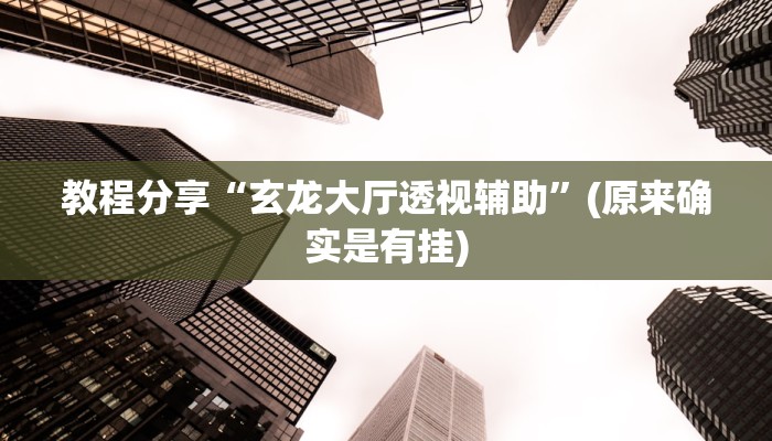 教程分享“玄龙大厅透视辅助”(原来确实是有挂)