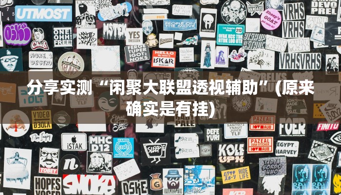 分享实测“闲聚大联盟透视辅助”(原来确实是有挂)