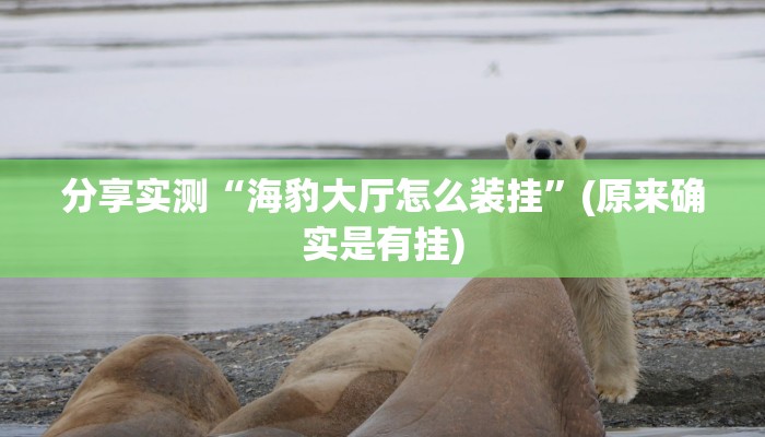 分享实测“海豹大厅怎么装挂”(原来确实是有挂)