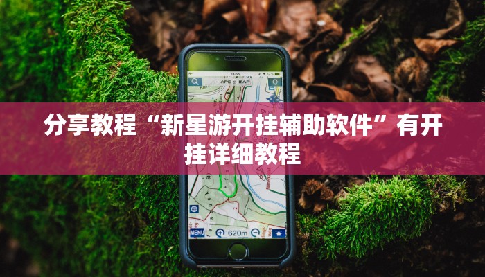 分享教程“新星游开挂辅助软件”有开挂详细教程