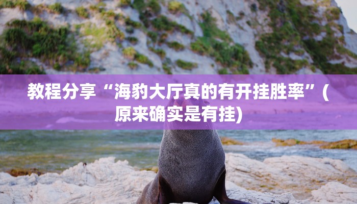 教程分享“海豹大厅真的有开挂胜率”(原来确实是有挂)