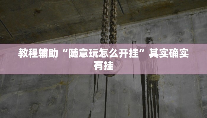 教程辅助“随意玩怎么开挂”其实确实有挂