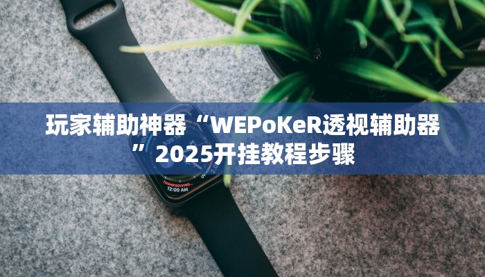 玩家辅助神器“WEPoKeR透视辅助器”2025开挂教程步骤