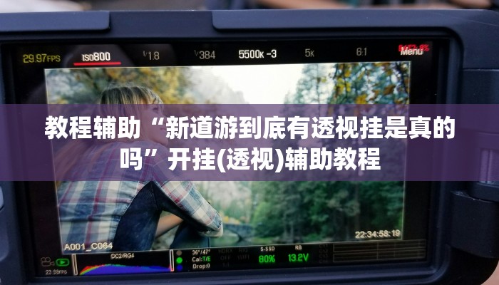 教程辅助“新道游到底有透视挂是真的吗”开挂(透视)辅助教程