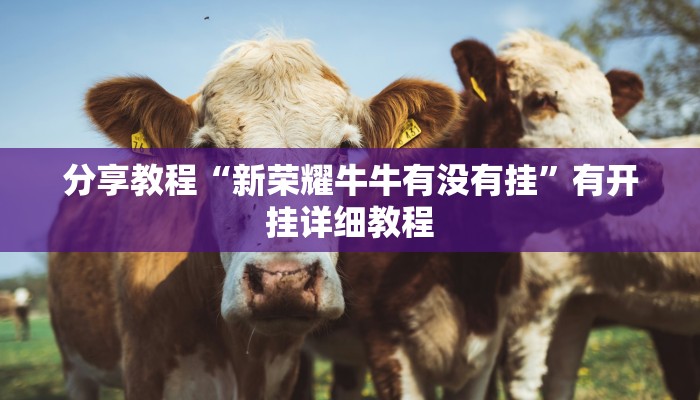 分享教程“新荣耀牛牛有没有挂”有开挂详细教程