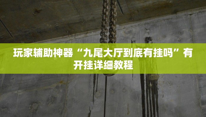 玩家辅助神器“九尾大厅到底有挂吗”有开挂详细教程