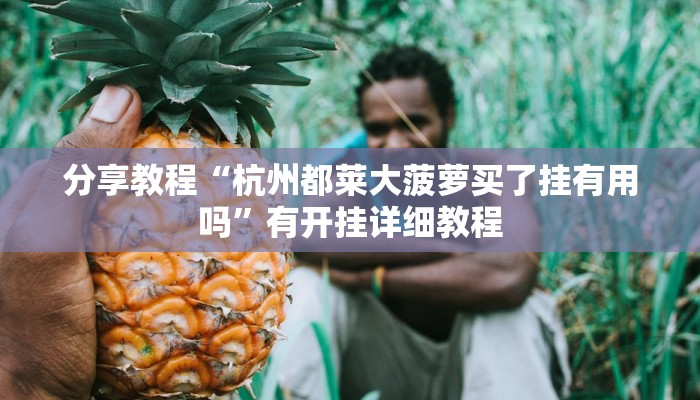 分享教程“杭州都莱大菠萝买了挂有用吗”有开挂详细教程
