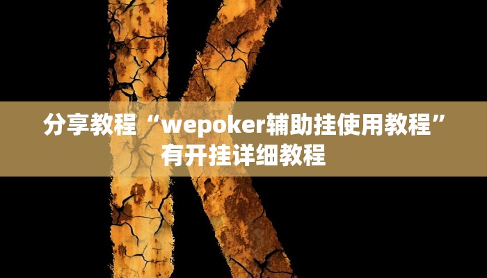 分享教程“wepoker辅助挂使用教程”有开挂详细教程