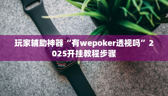 玩家辅助神器“有wepoker透视吗”2025开挂教程步骤