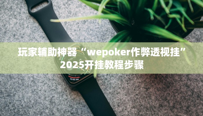 玩家辅助神器“wepoker作弊透视挂”2025开挂教程步骤
