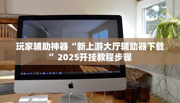 玩家辅助神器“新上游大厅辅助器下载”2025开挂教程步骤