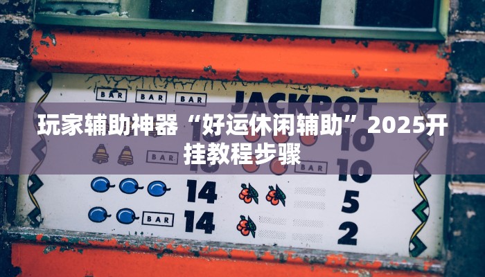 玩家辅助神器“好运休闲辅助”2025开挂教程步骤
