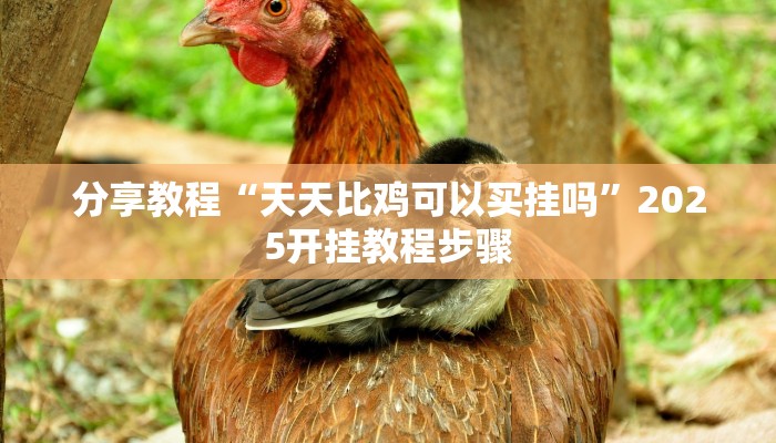 分享教程“天天比鸡可以买挂吗”2025开挂教程步骤 分享教程“天天比鸡可以买挂吗”2025开挂教程步骤