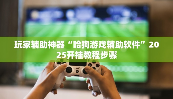 玩家辅助神器“哈狗游戏辅助软件”2025开挂教程步骤 玩家辅助神器“哈狗游戏辅助软件”2025开挂教程步骤