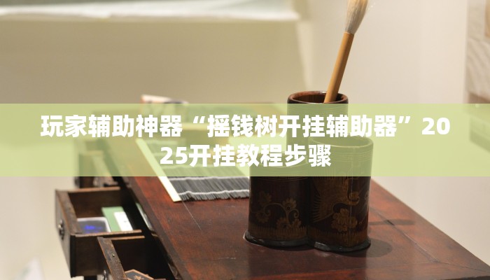 玩家辅助神器“摇钱树开挂辅助器”2025开挂教程步骤