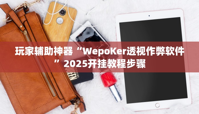 玩家辅助神器“WepoKer透视作弊软件”2025开挂教程步骤