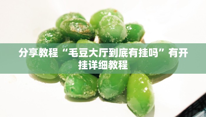 分享教程“毛豆大厅到底有挂吗”有开挂详细教程 分享教程“毛豆大厅到底有挂吗”有开挂详细教程