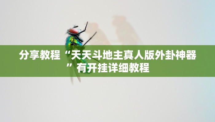 分享教程“天天斗地主真人版外卦神器”有开挂详细教程