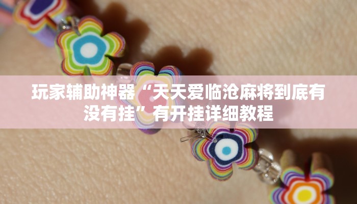 玩家辅助神器“天天爱临沧麻将到底有没有挂”有开挂详细教程