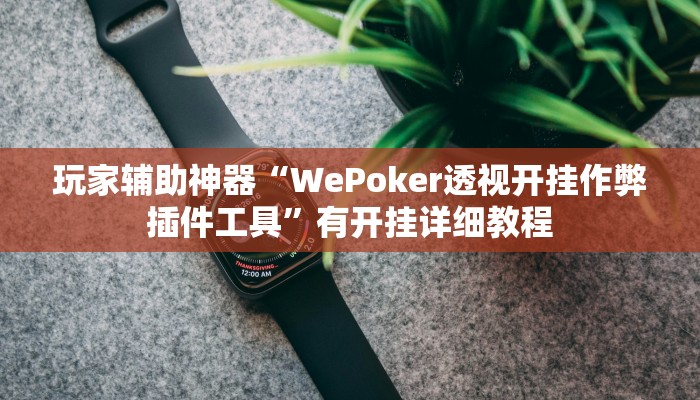 玩家辅助神器“WePoker透视开挂作弊插件工具”有开挂详细教程 玩家辅助神器“WePoker透视开挂作弊插件工具”有开挂详细教程