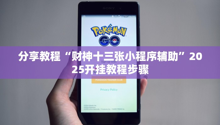 分享教程“财神十三张小程序辅助”2025开挂教程步骤