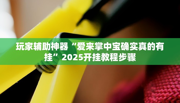 玩家辅助神器“爱来掌中宝确实真的有挂”2025开挂教程步骤