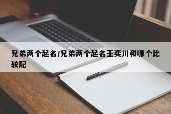 兄弟两个起名/兄弟两个起名王奕川和哪个比较配